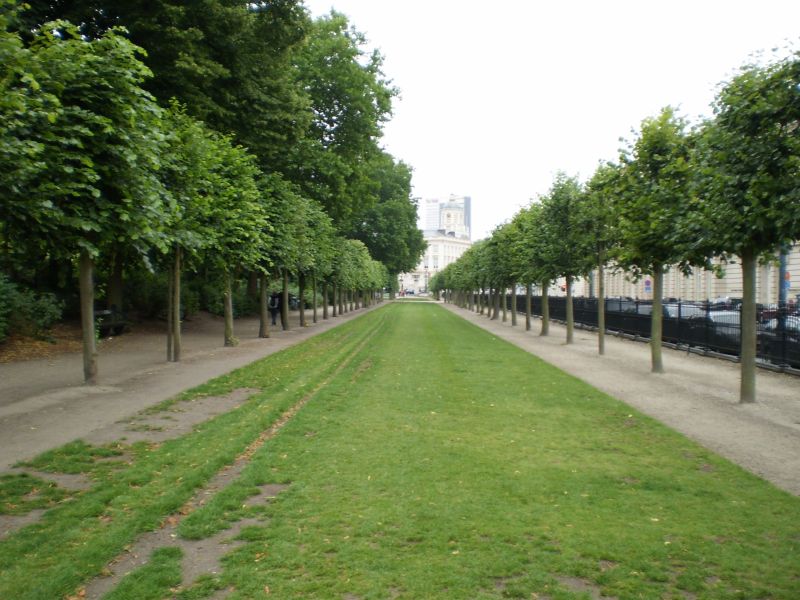 Bruksela, park obok pałacu królewskiego